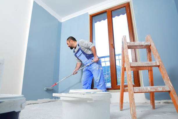 Best Attic Mold Removal  in Troy, OH