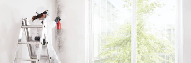 Best Industrial Mold Remediation  in Troy, OH